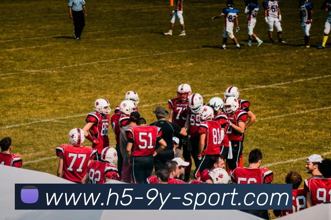 九游体育平台生态图